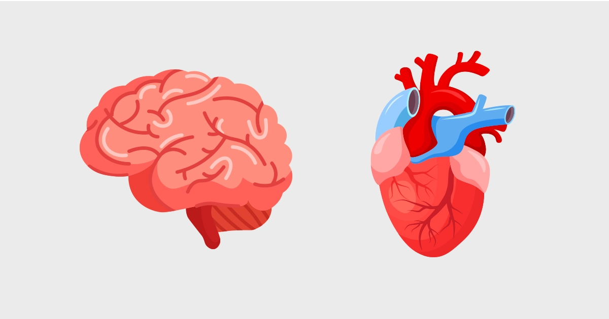 Grafik af en hjerne og hjerte